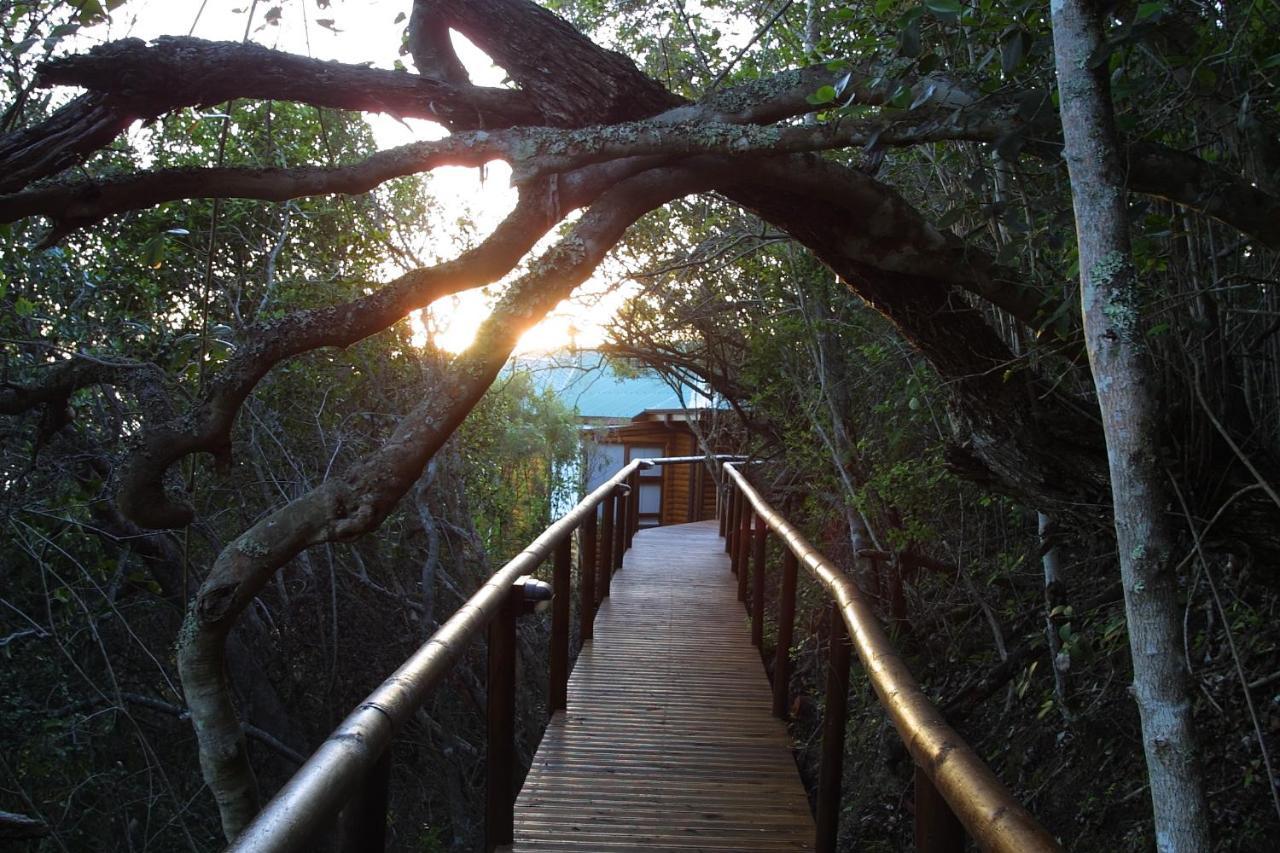 Under The Boardwalk B&B Guest House วิลเดอร์เนส ภายนอก รูปภาพ